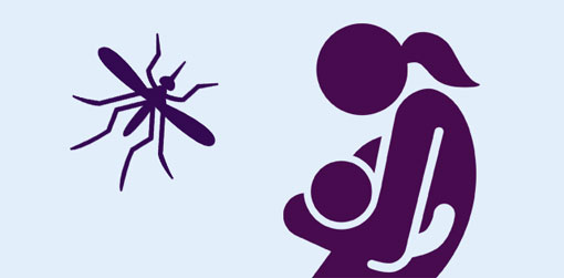 Zika y embarazo