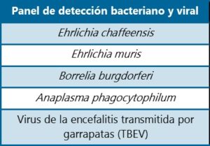 Panel de enfermedades transmitidas por garrapatas por PCR