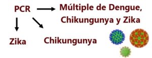 PCR Multiplex Dengue Zika Chikungunya