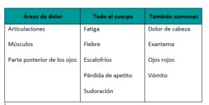 zika-sintomas