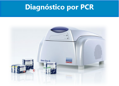 Diagnostico PCR