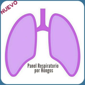 Panel respiratorio por hongos