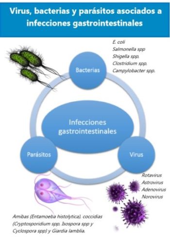 infecciones gastrointestinales