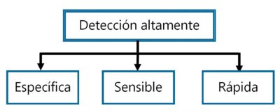 ventajas pcr