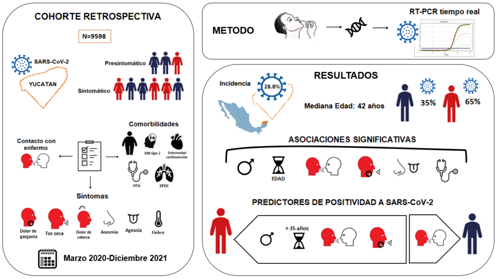 Resumen gráfico del artículo