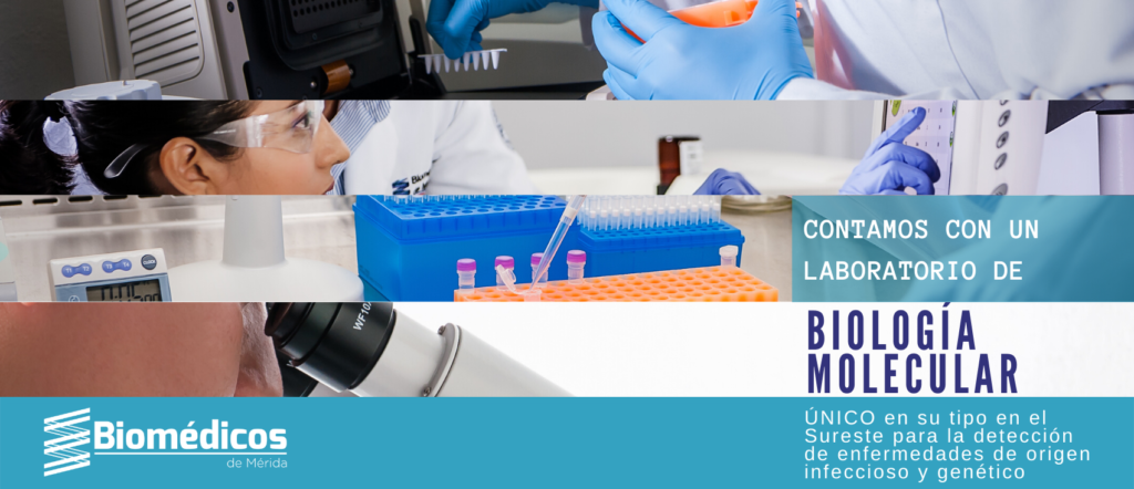 Laboratorio Biomedicos Merida