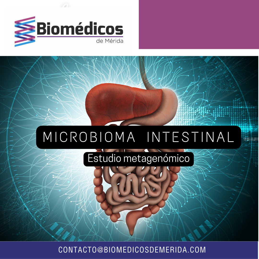 Microbioma intestinal estudio metagenomico